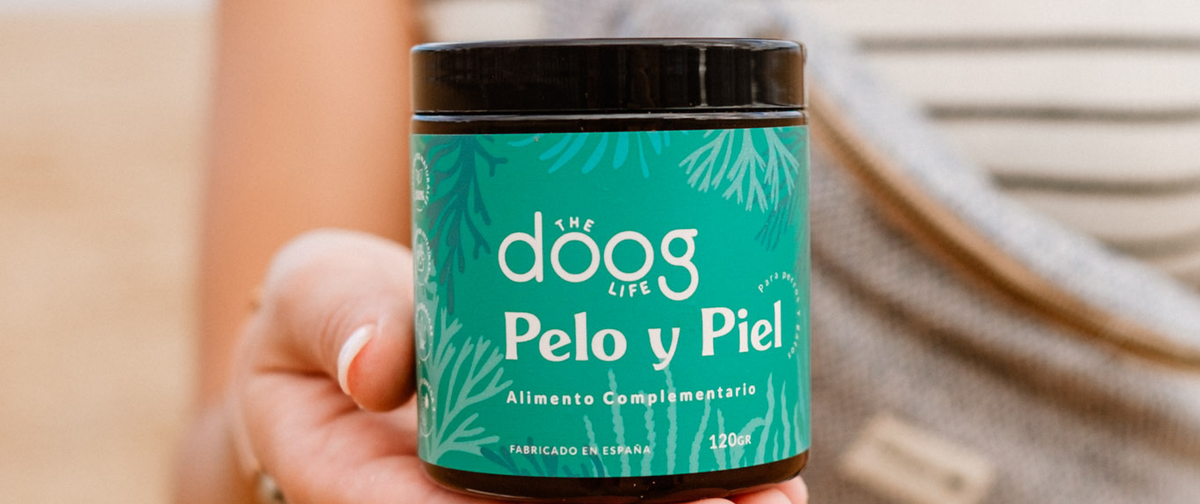 Los mejores suplementos para piel, pelo y sistema digestivo de tu perro o gato