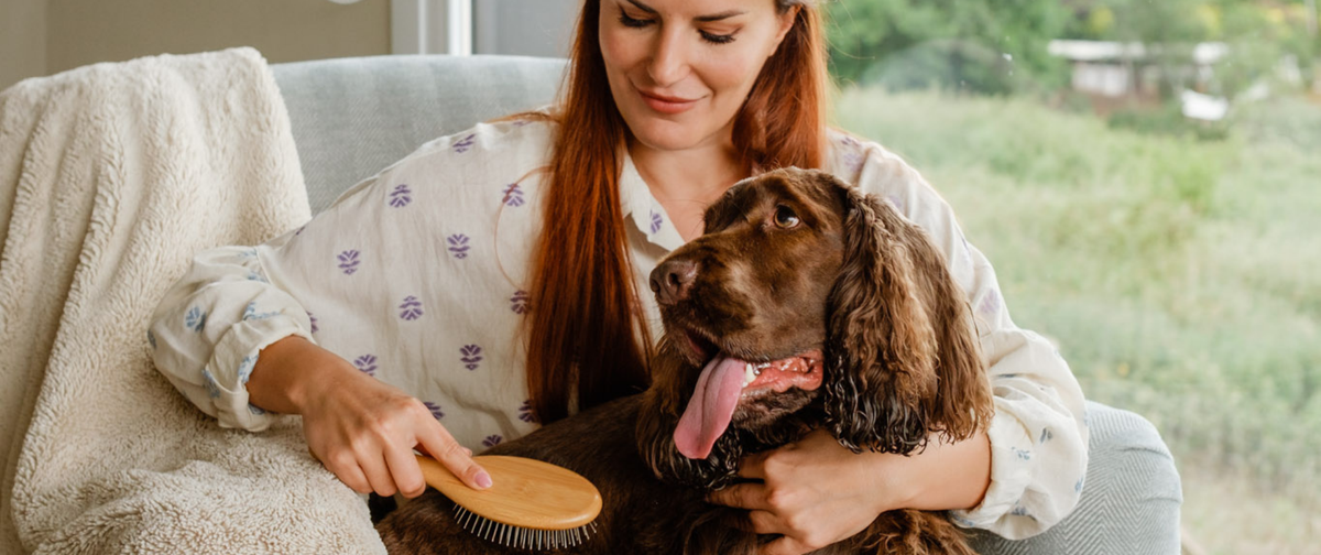 ¿Cómo quitar los nudos del pelo de mi perro?