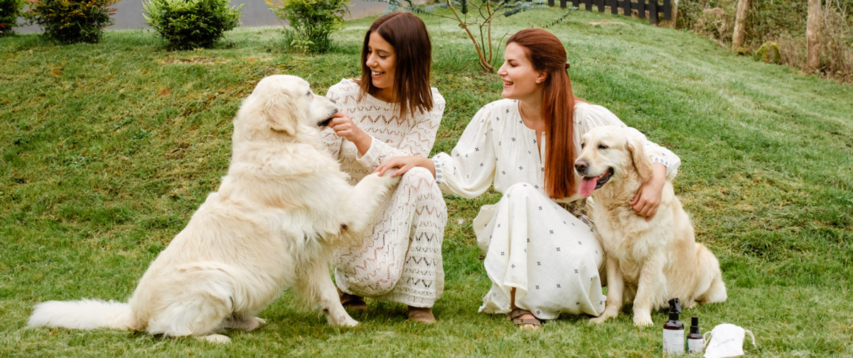 Hoteles dogfriendly en España 2023