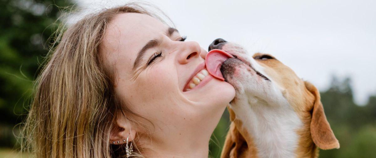 5 Recetas Fáciles y Refrescantes para Perros