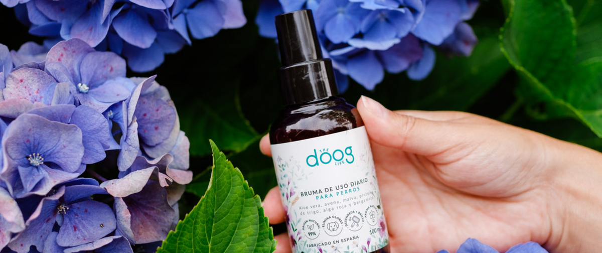 Aromaterapia aplicada para perros y gatos (naturalmente)