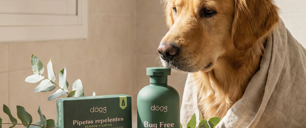Cómo proteger a tu perro de pulgas, garrapatas y mosquitos de forma natural: la rutina repelente completa