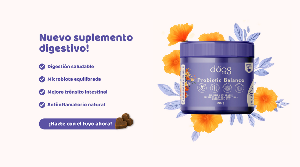 Los mejores suplementos para piel, pelo y sistema digestivo de tu perro o gato
