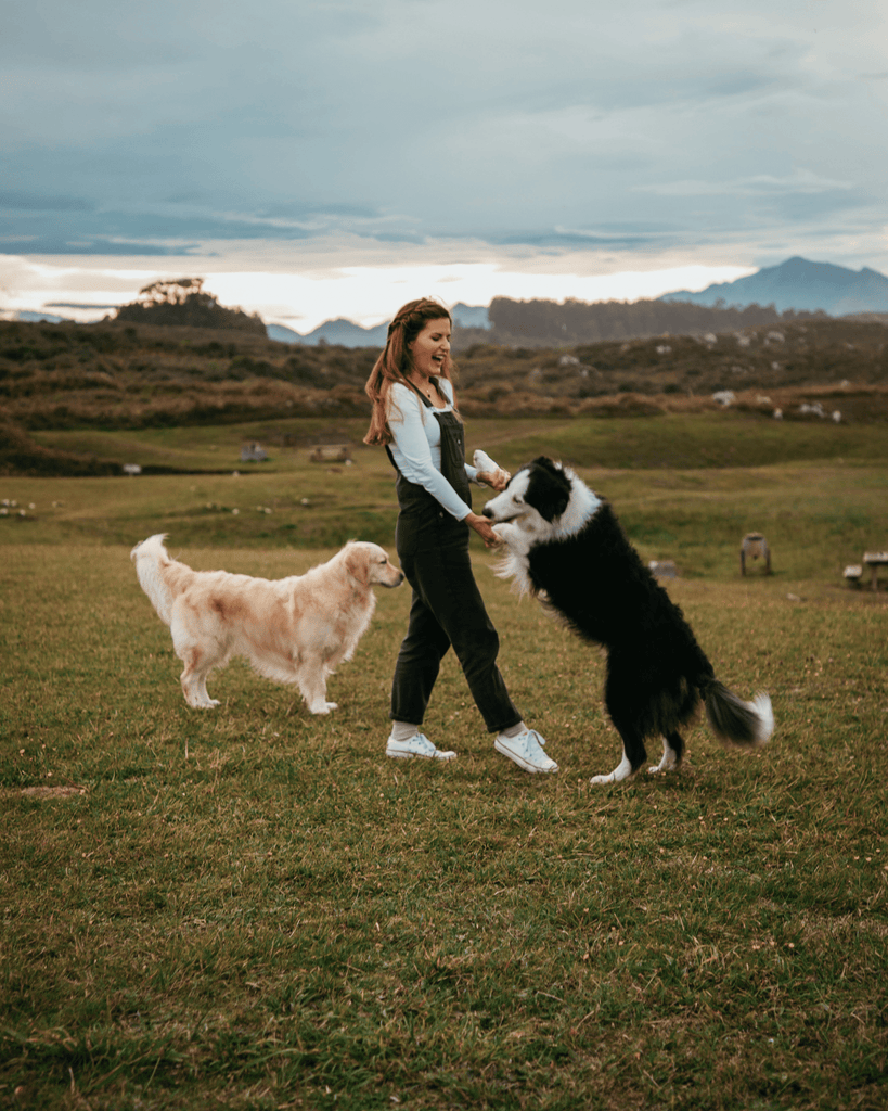 Paseo con perro: tips para el paseo perfecto