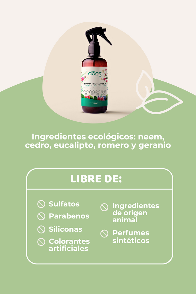 Consejos para proteger a perros y humanos de las garrapatas