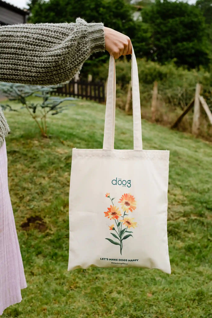 Cosmética ecológica que sí funciona: la guía The Doog Life para perros y gatos