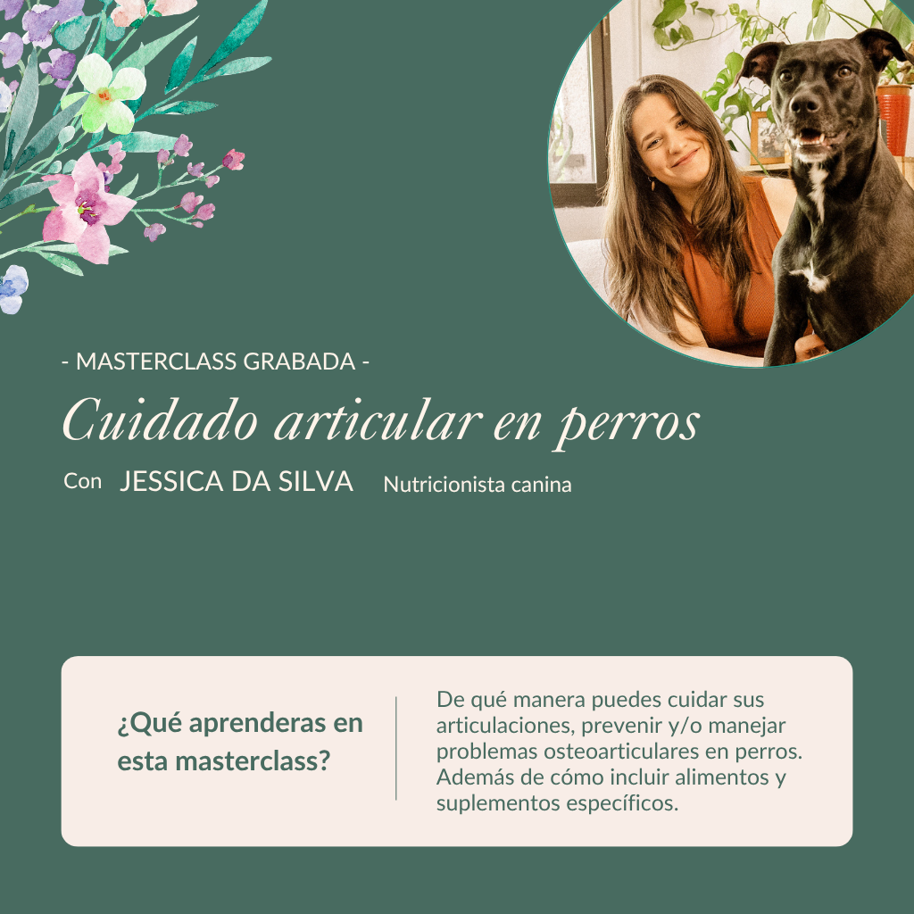 Recorded Masterclass | Joint Care for Dogs