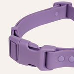 Collar Quick-Release