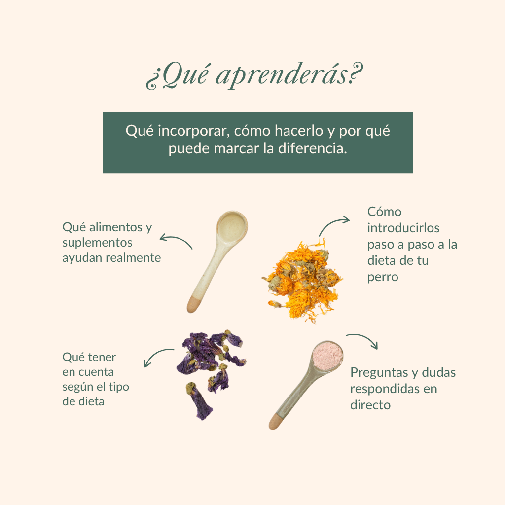 Masterclass enregistrée | Aliments et compléments fonctionnels pour chiens