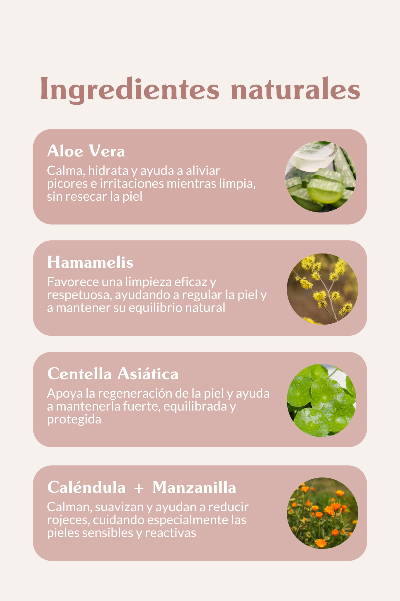 Ingredientes naturales y ecológicos con aroma a gardenia 