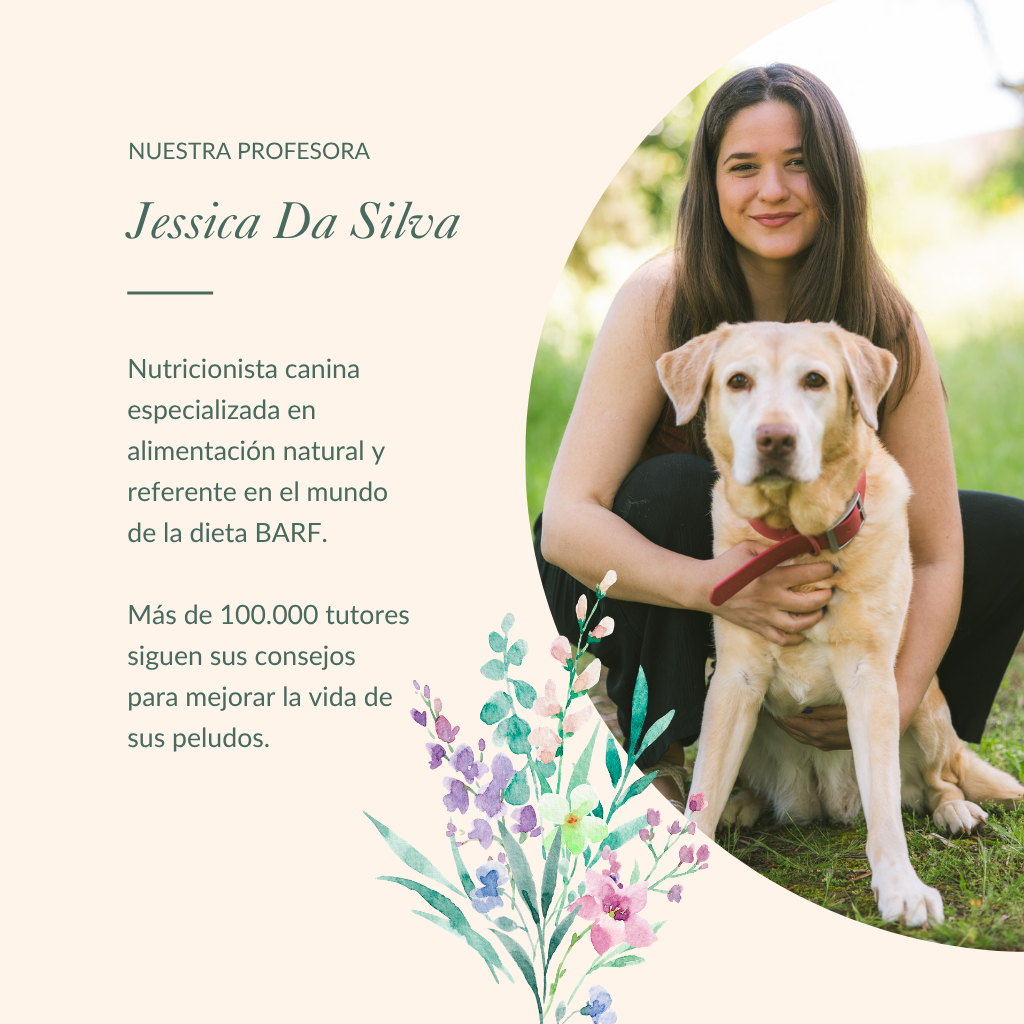 Masterclass enregistrée | Aliments et compléments fonctionnels pour chiens