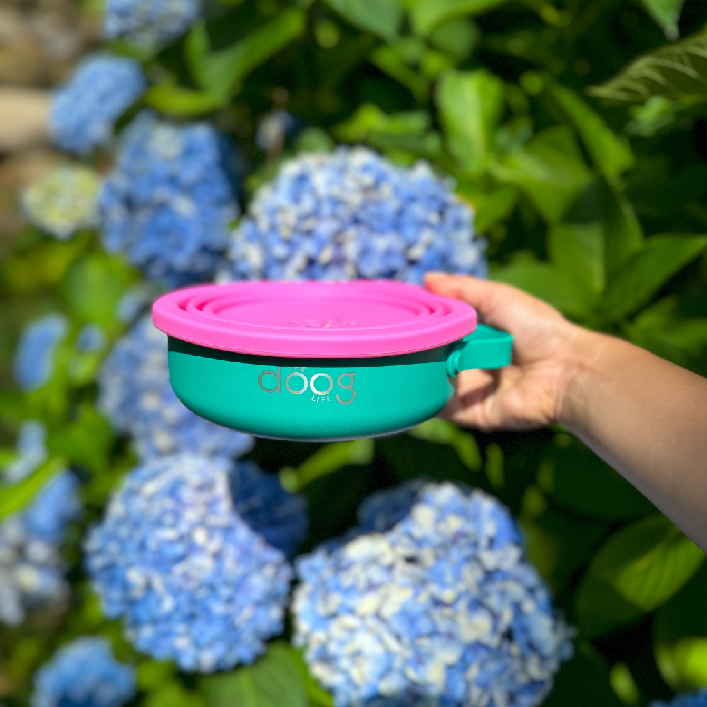 Portable Food & Water Bowl