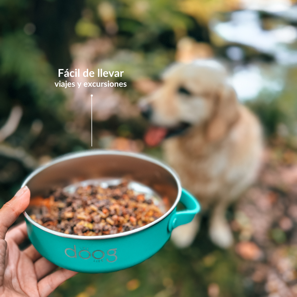 Portable Food & Water Bowl