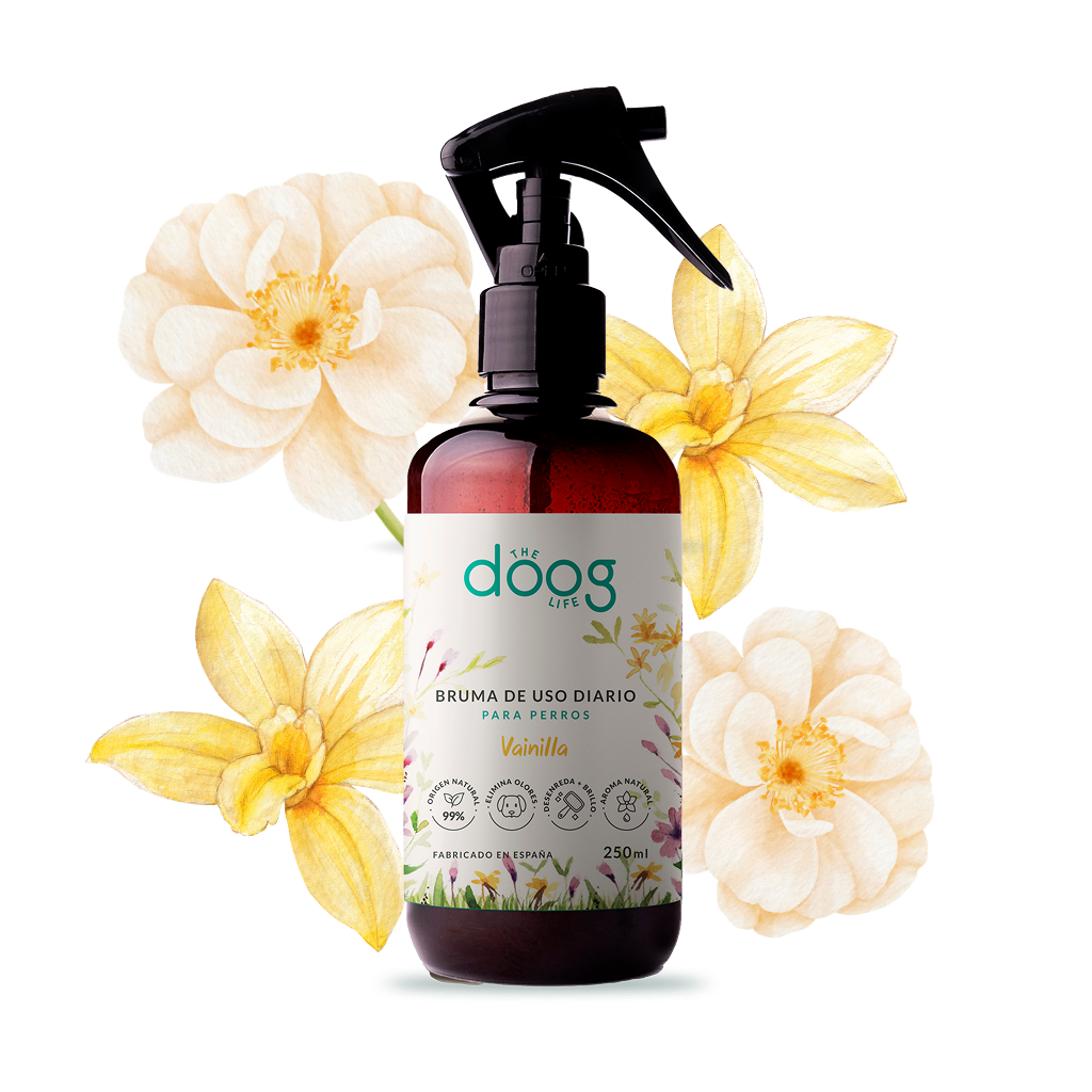 Vanilla 3-in-1 Mist