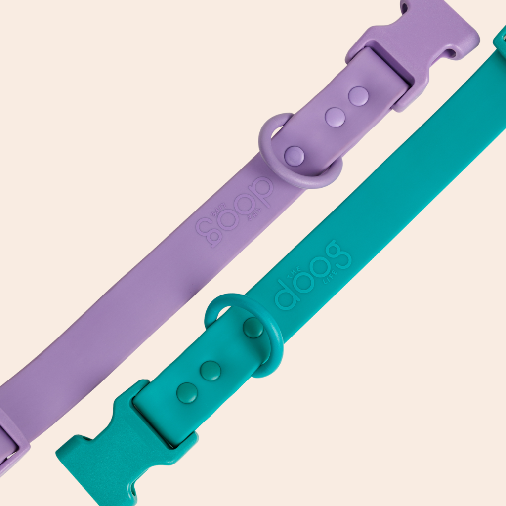 Quick-Release Collar