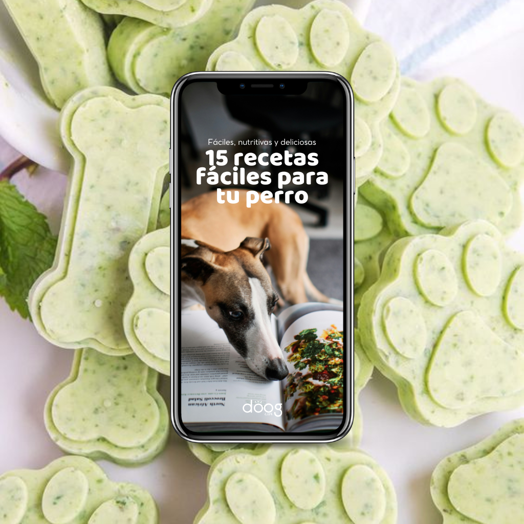 Ebook: 15 recetas fáciles para tu perro