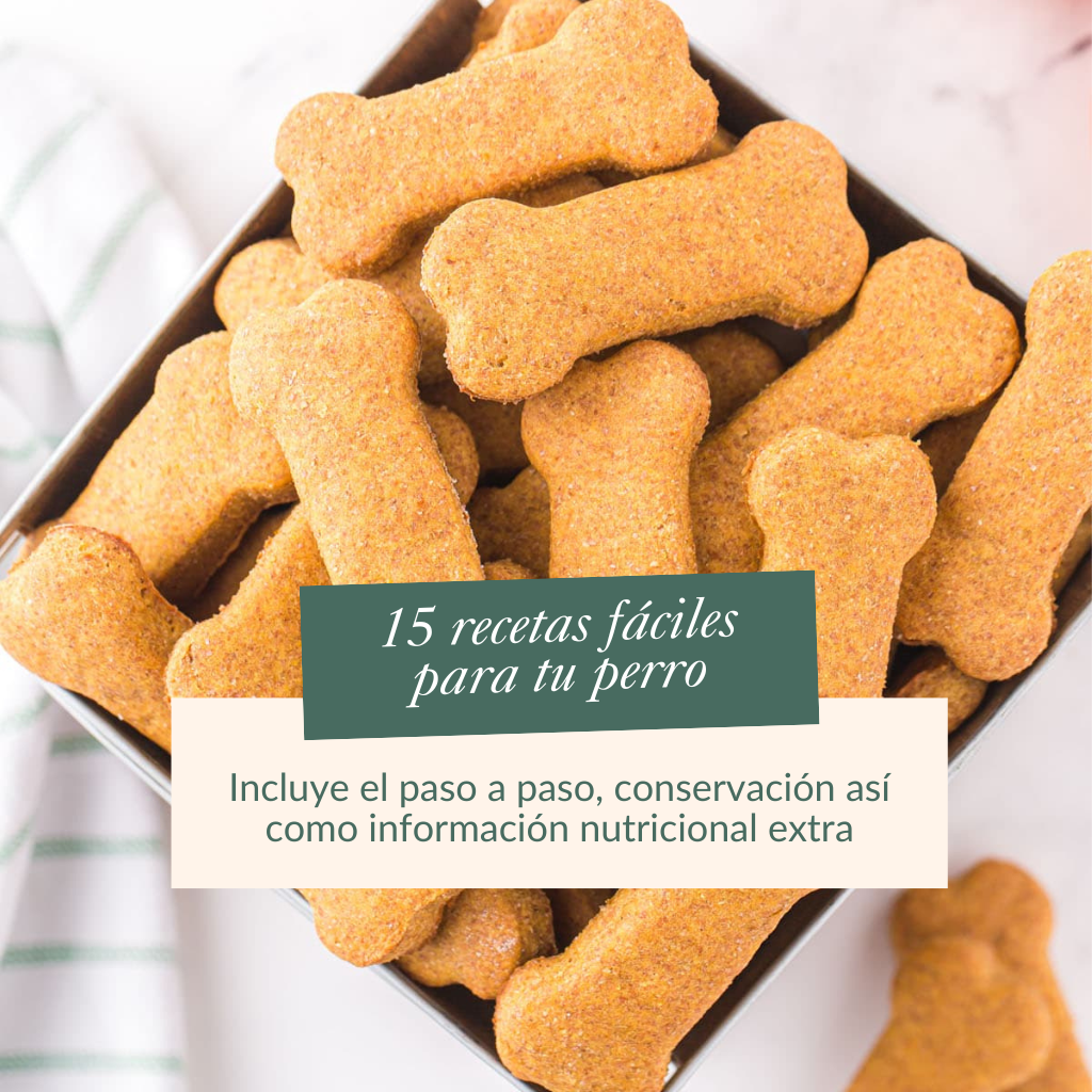 Ebook: 15 Easy Recipes for Your Dog