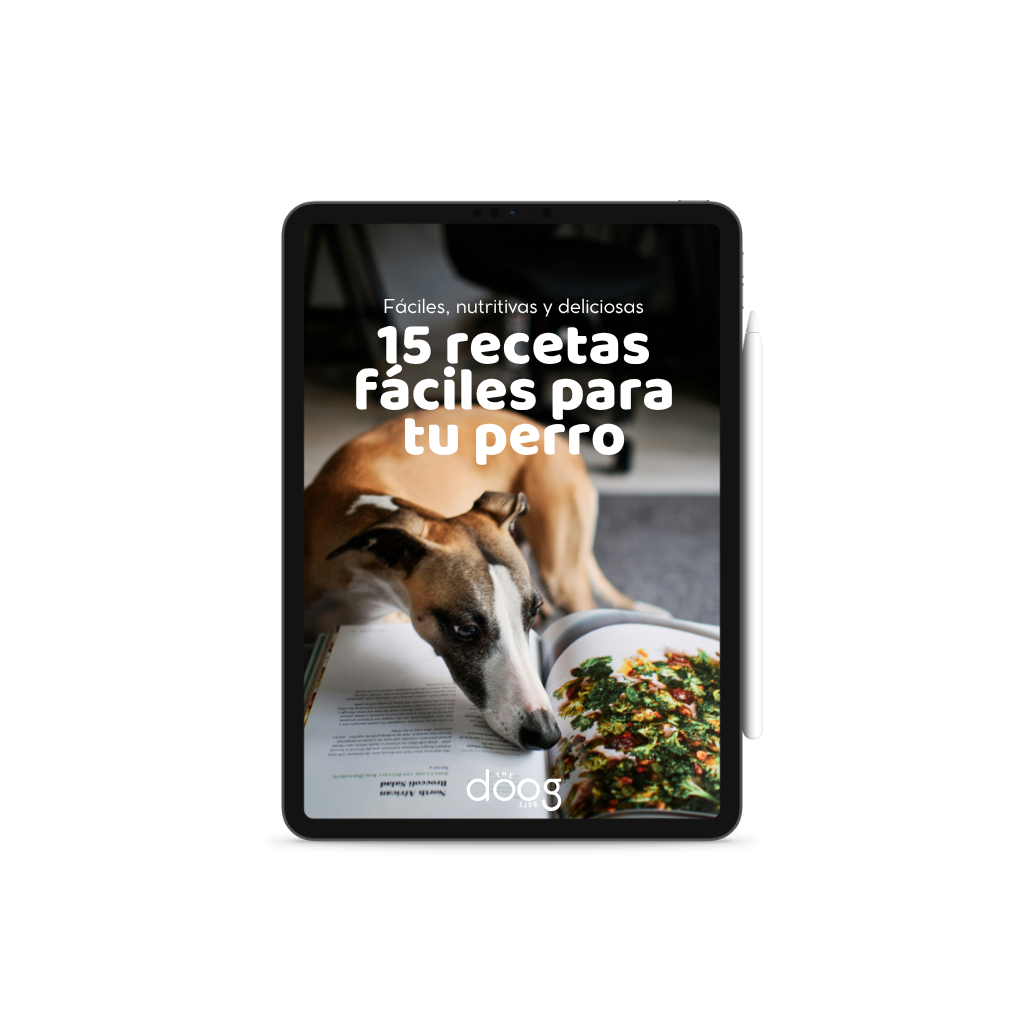 Ebook: 15 Easy Recipes for Your Dog