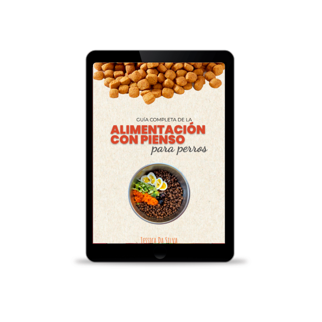 Ebook: Dog Kibble Feeding