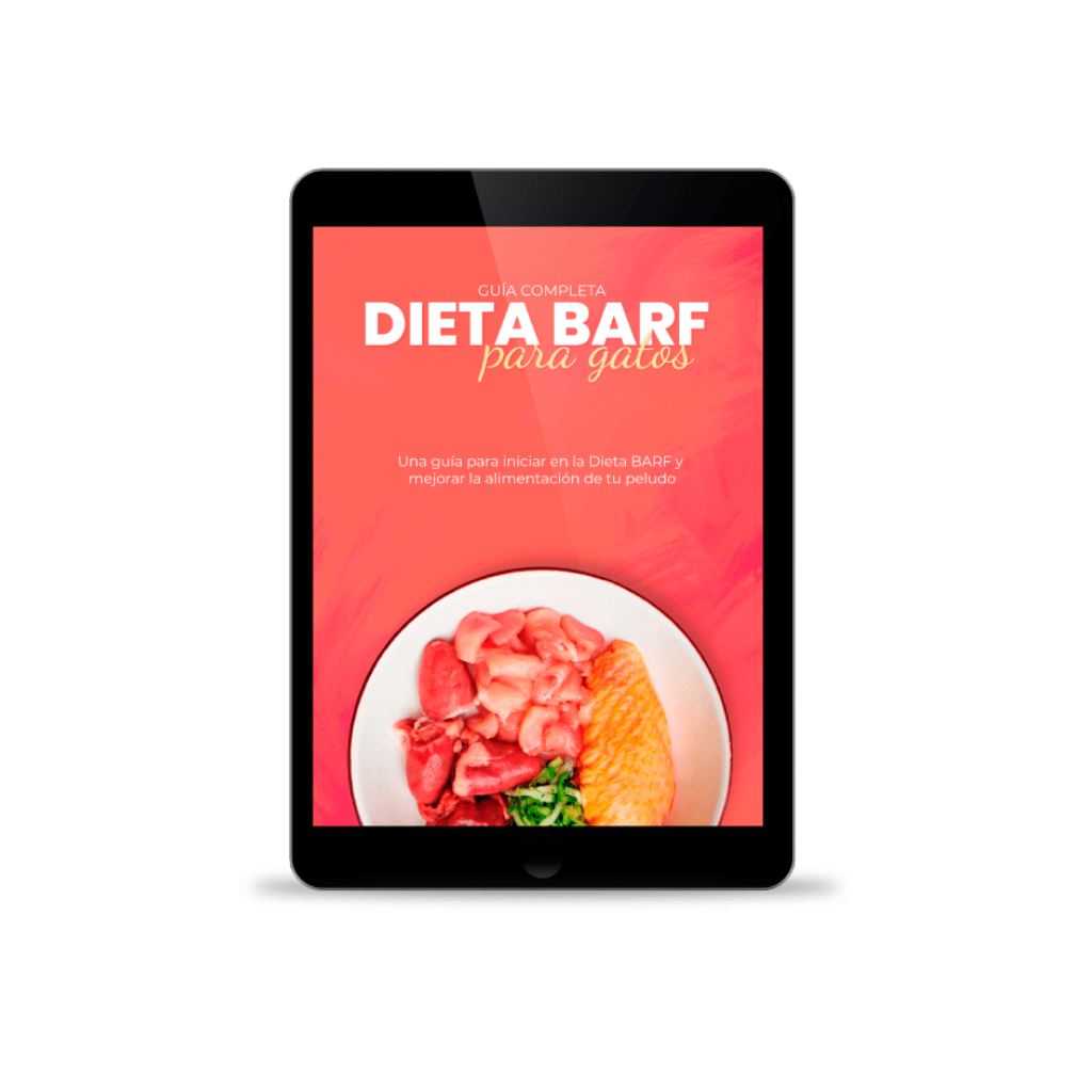 Ebook: BARF Diet for Cats. Complete Guide