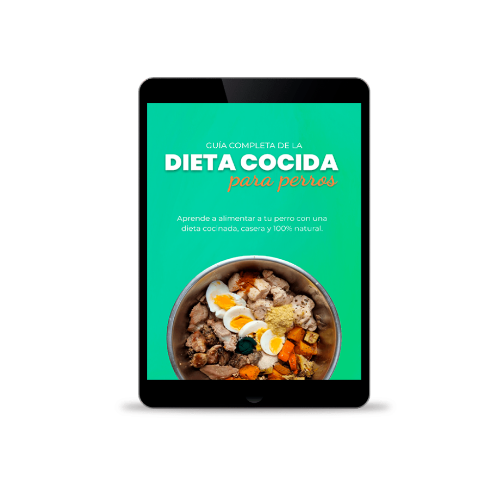 Ebook: Homemade Cooked Diet for Dogs
