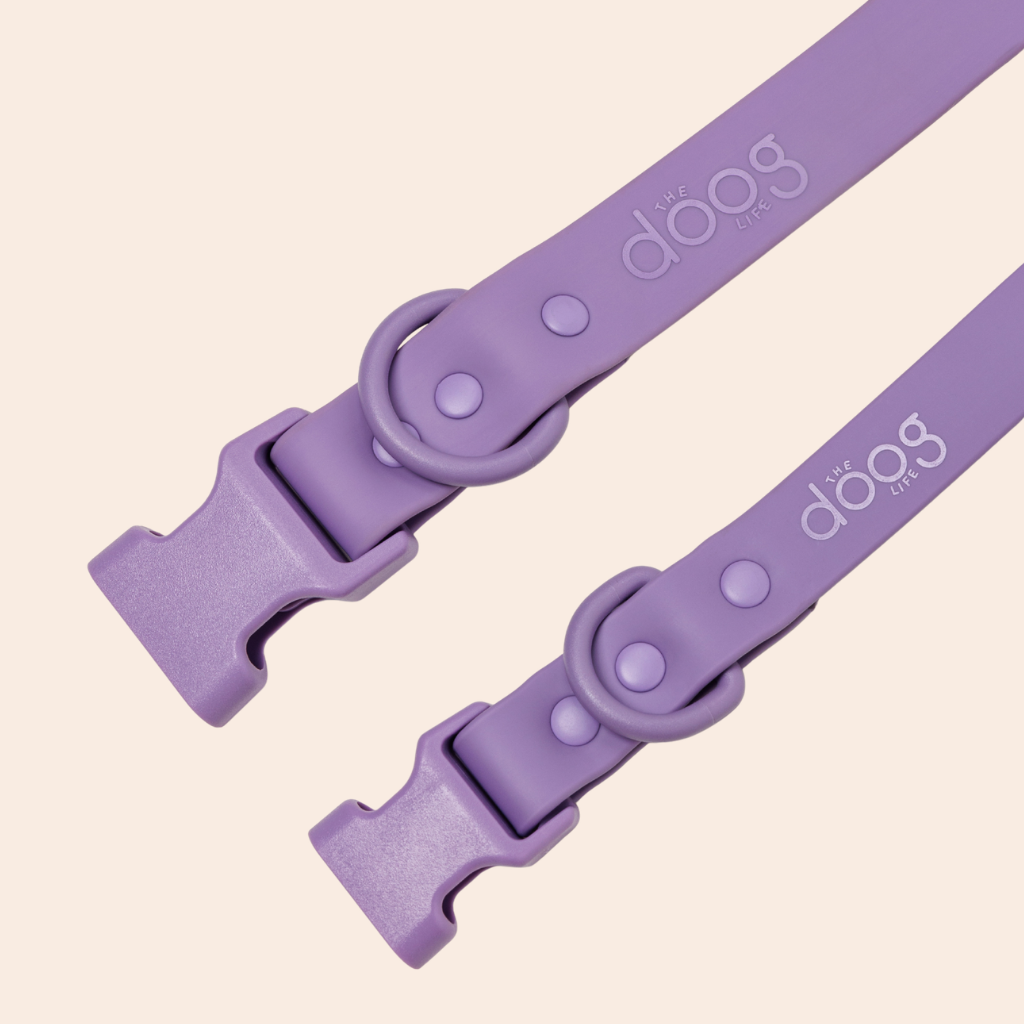 Quick-Release Collar