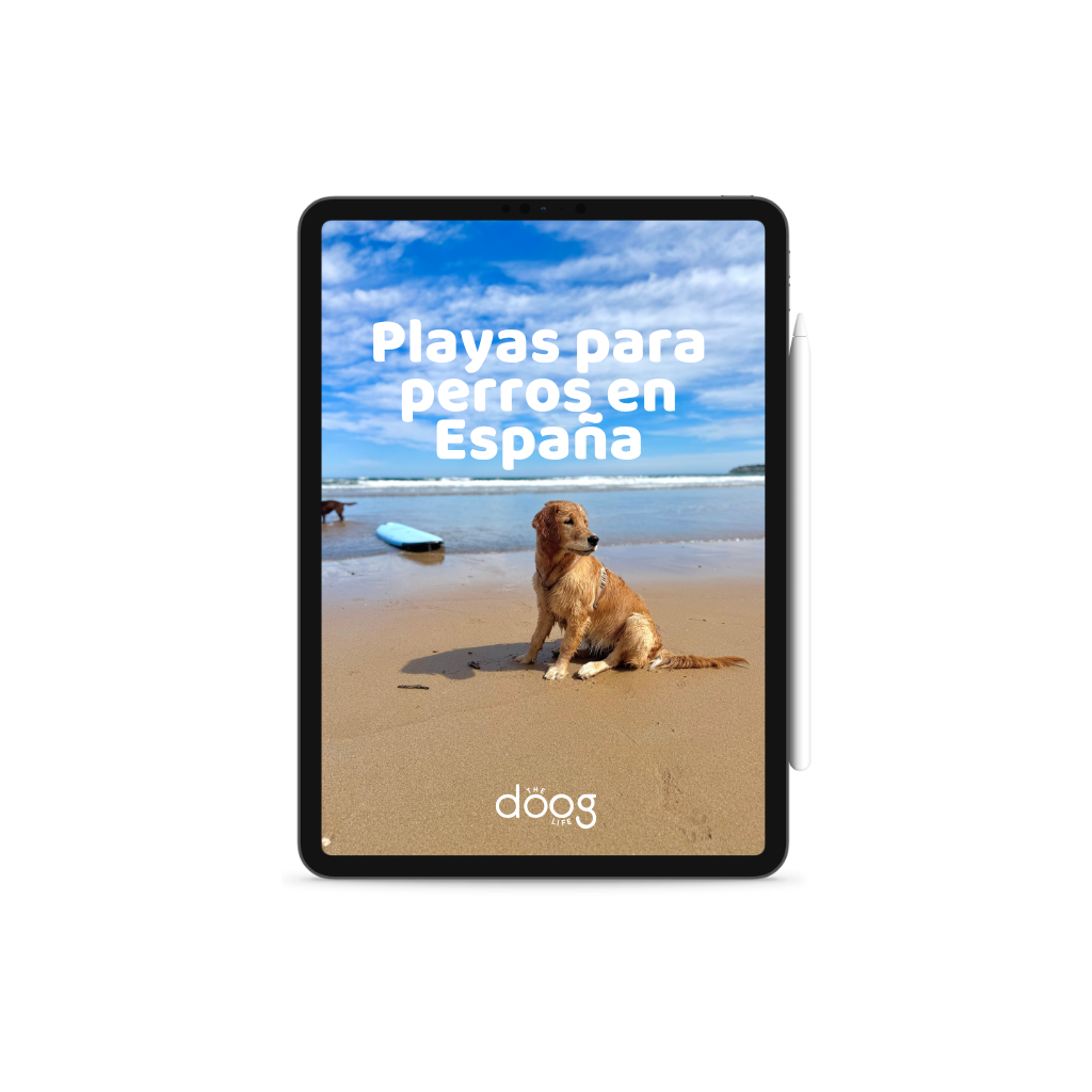 Ebook: 2026 Dog-Friendly Beaches Guide