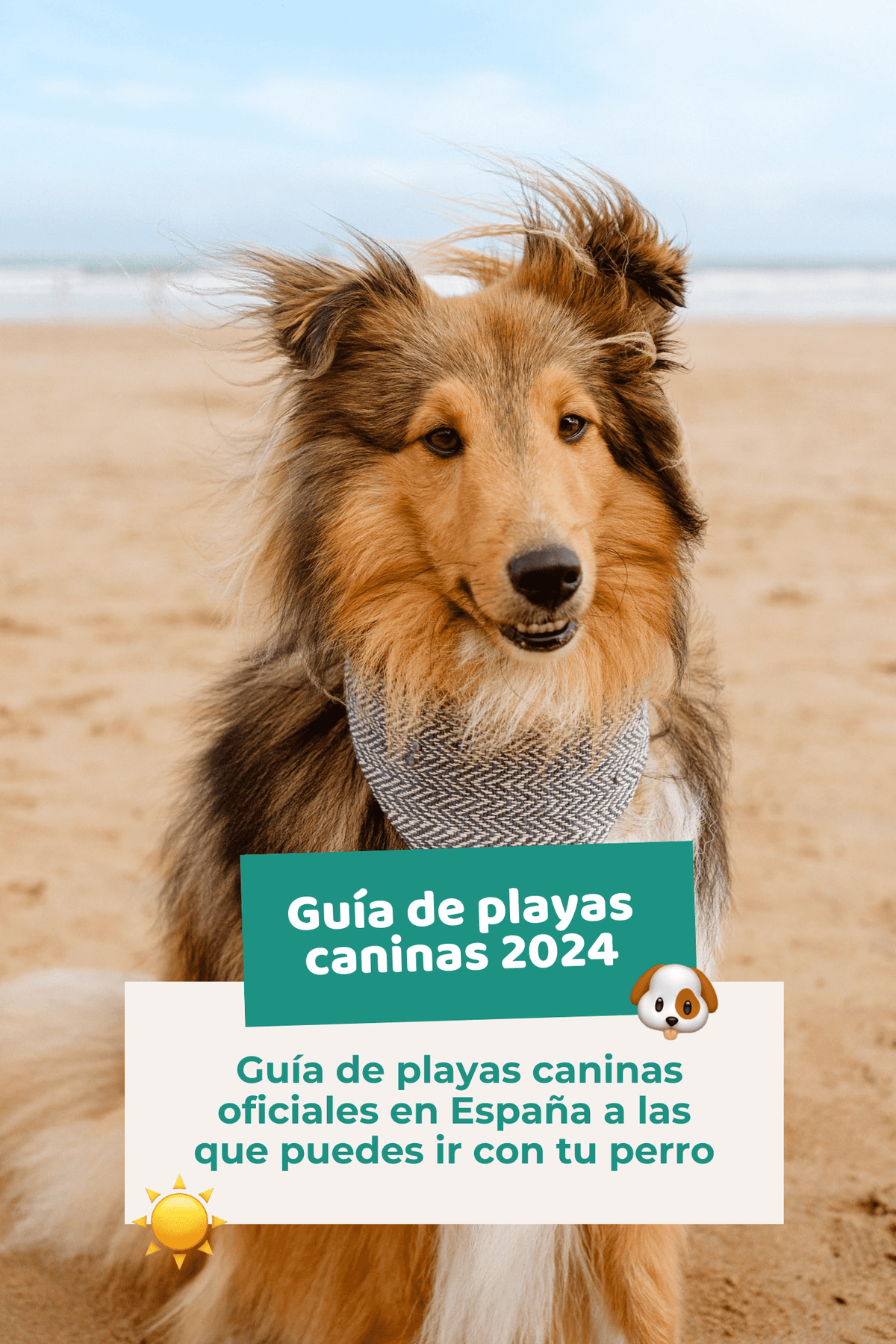 Ebook: Guía de playas caninas 2024