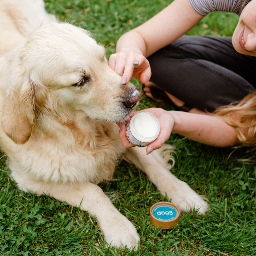Paw balm, nose and elbows