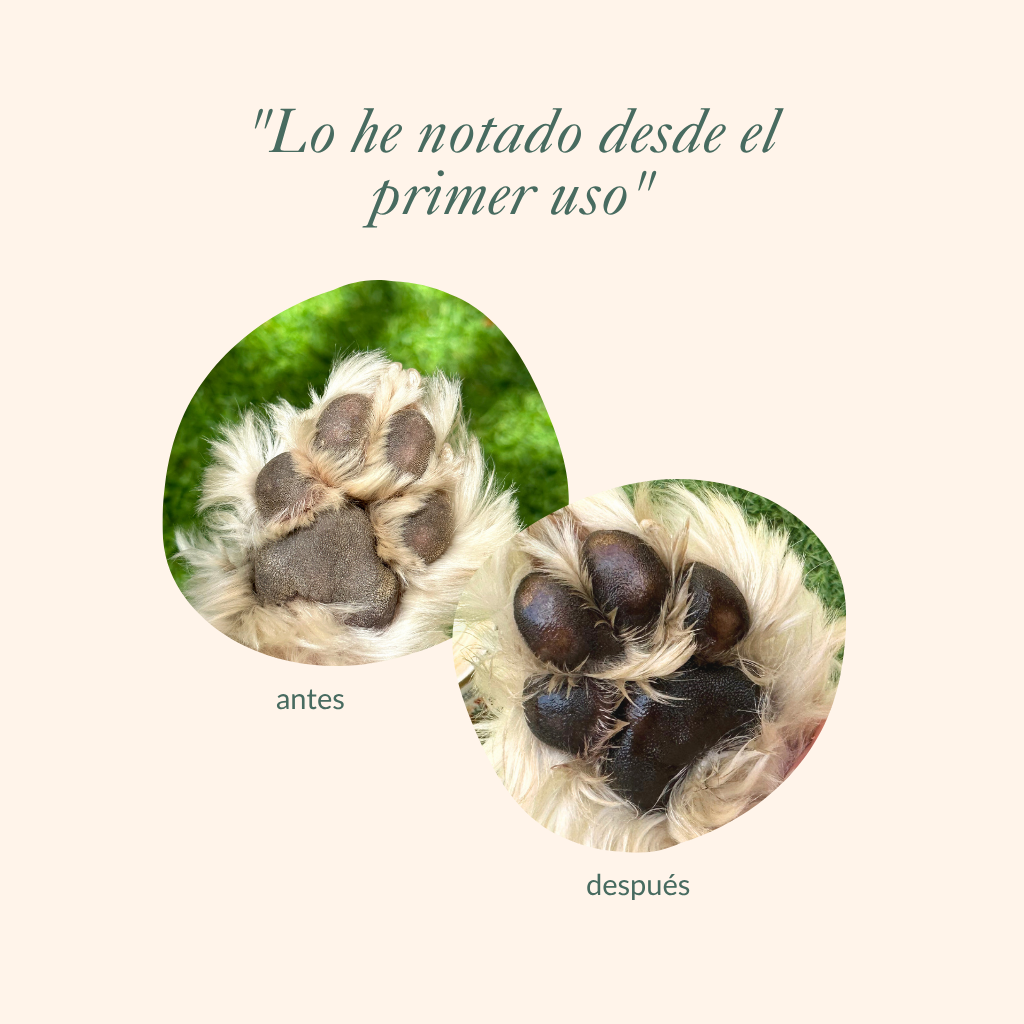 Paw balm, nose and elbows