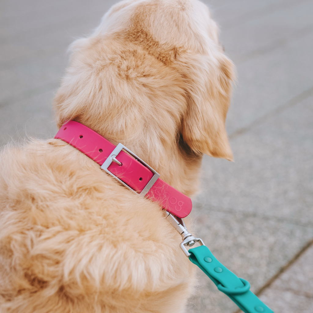 Waterproof Collar