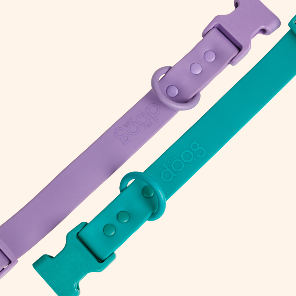 Quick-Release Collar