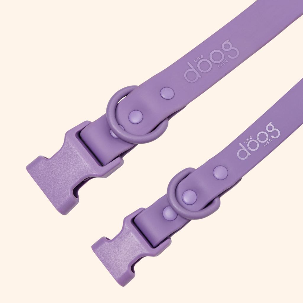 Quick-Release Collar