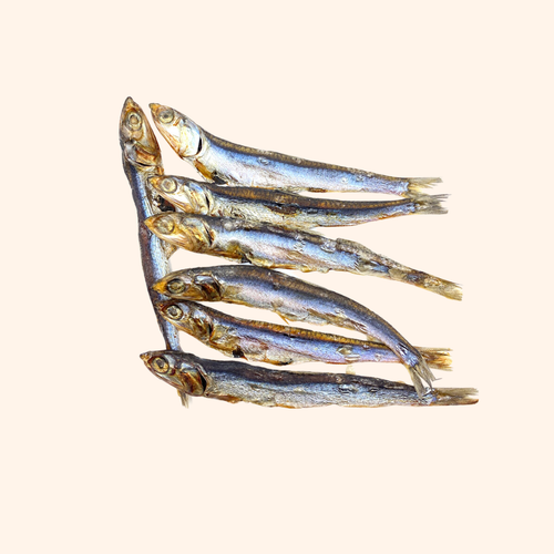 Anchois déshydratés