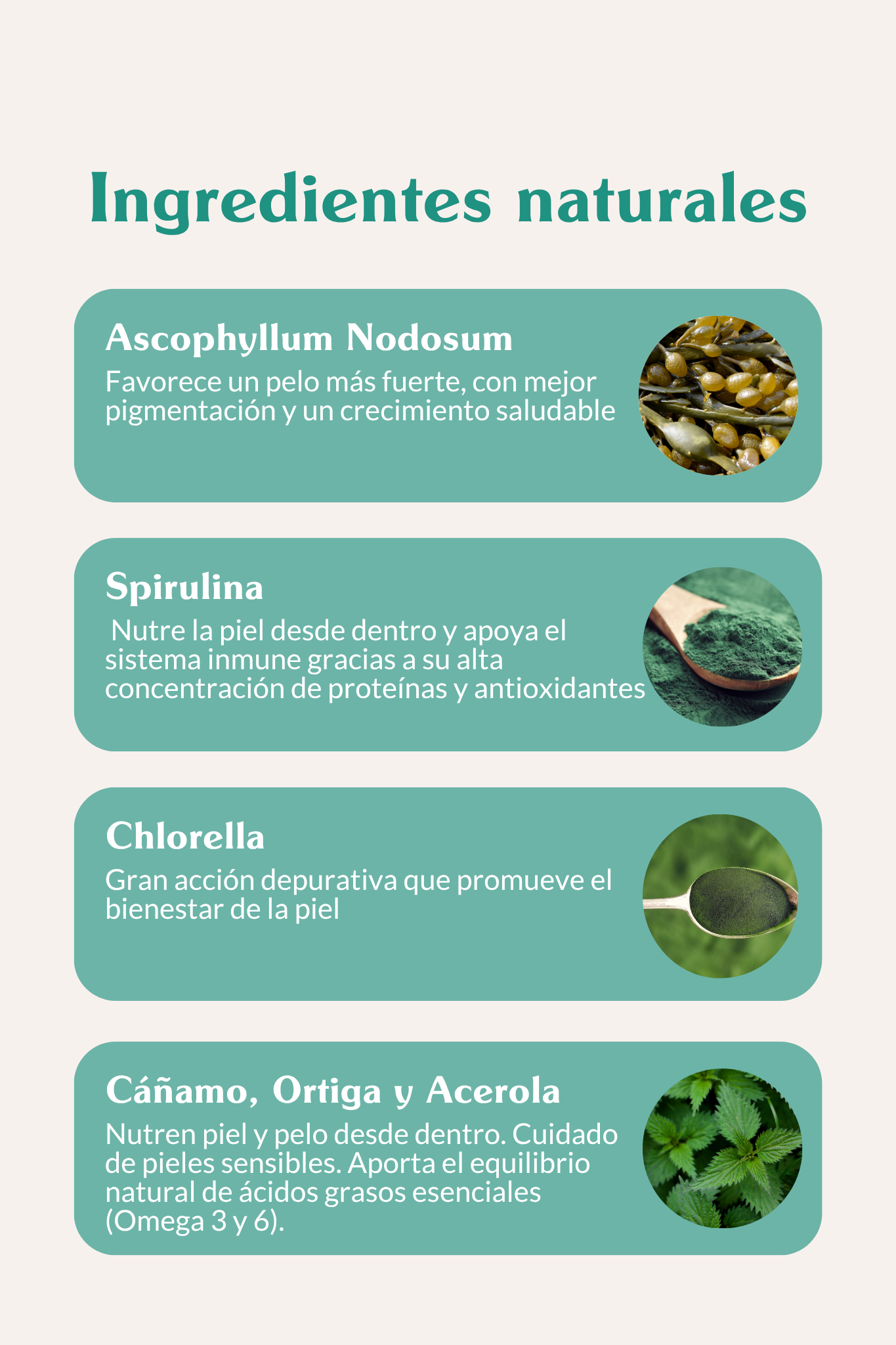 🌿 Ingredientes con valor real