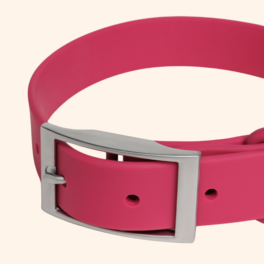 Collar Waterproof