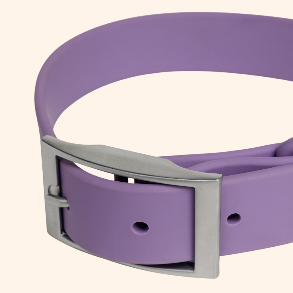 Collar Waterproof