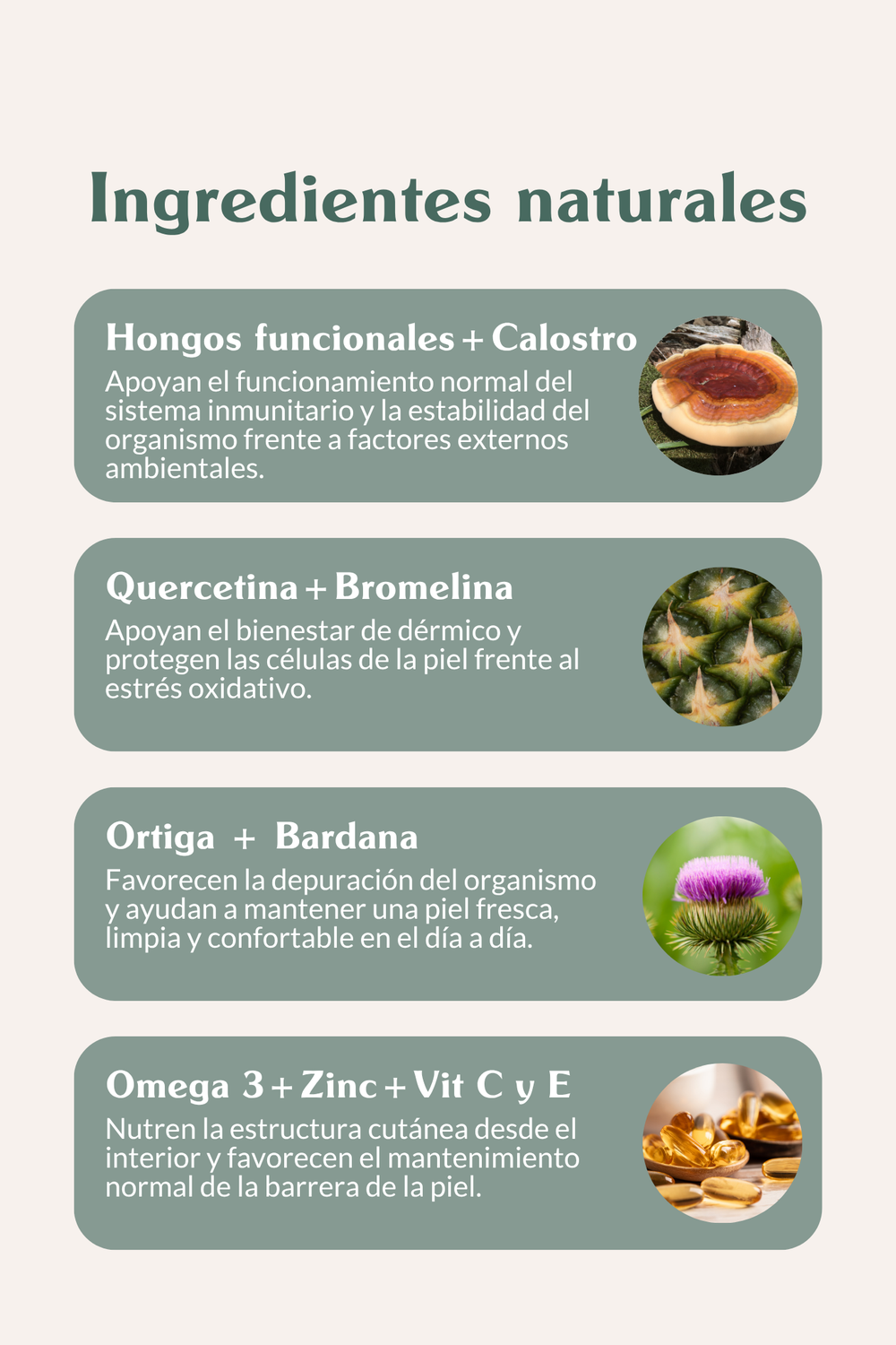 Suplemento alergias & inmunidad
