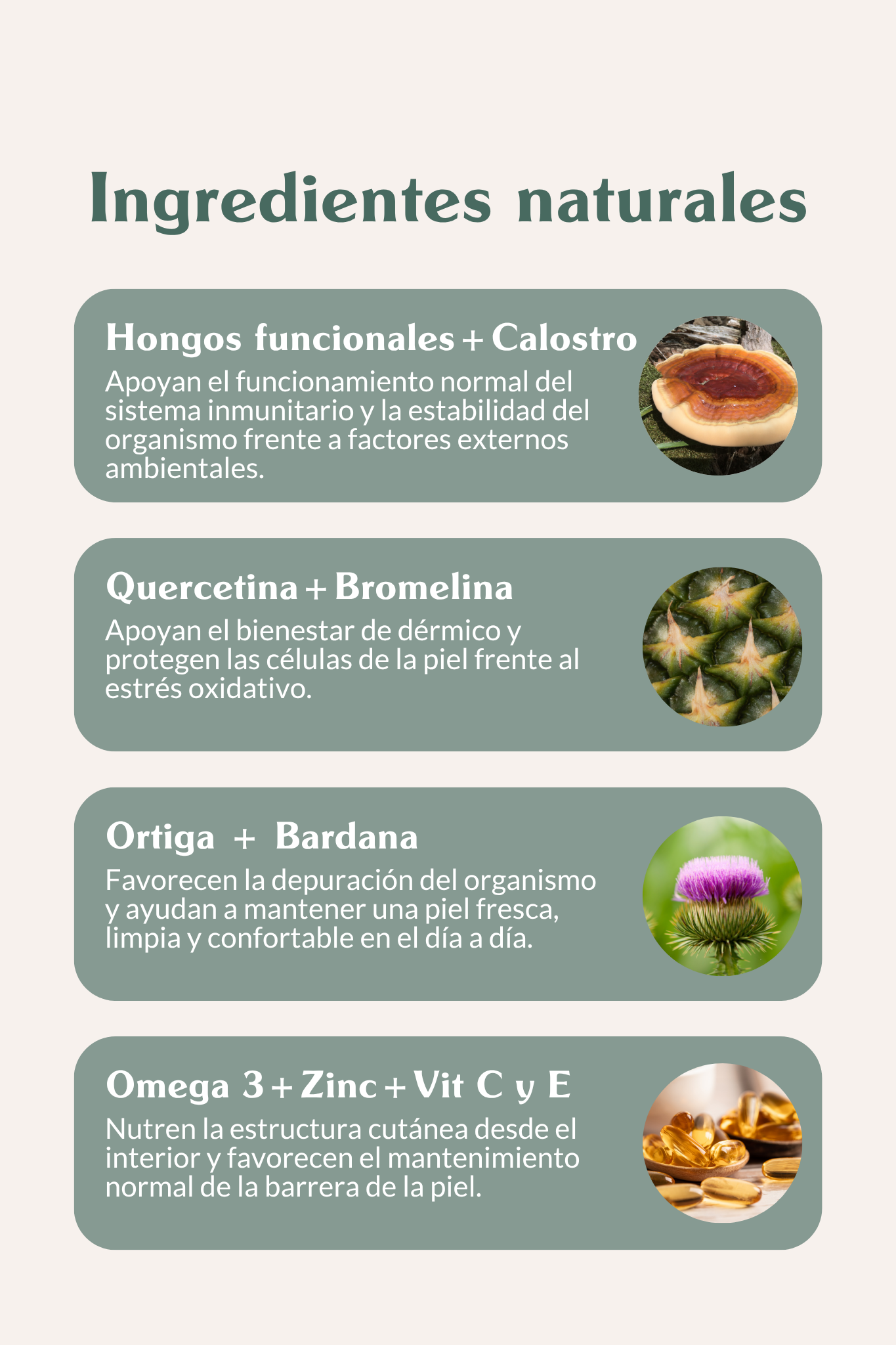 Ingredientes naturales de alta densidad nutricional