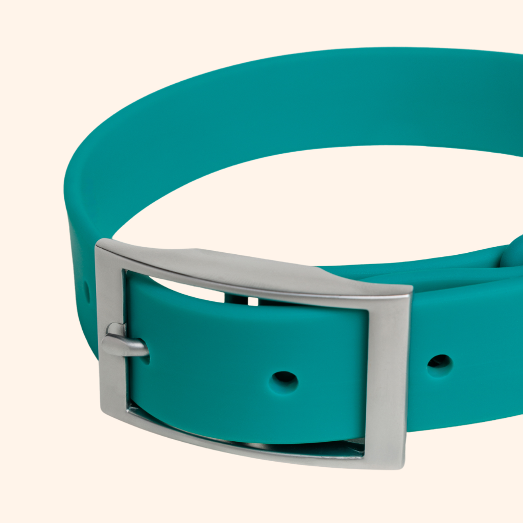 Collar Waterproof