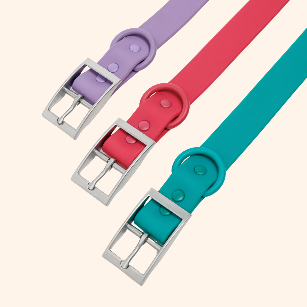 Collar Waterproof
