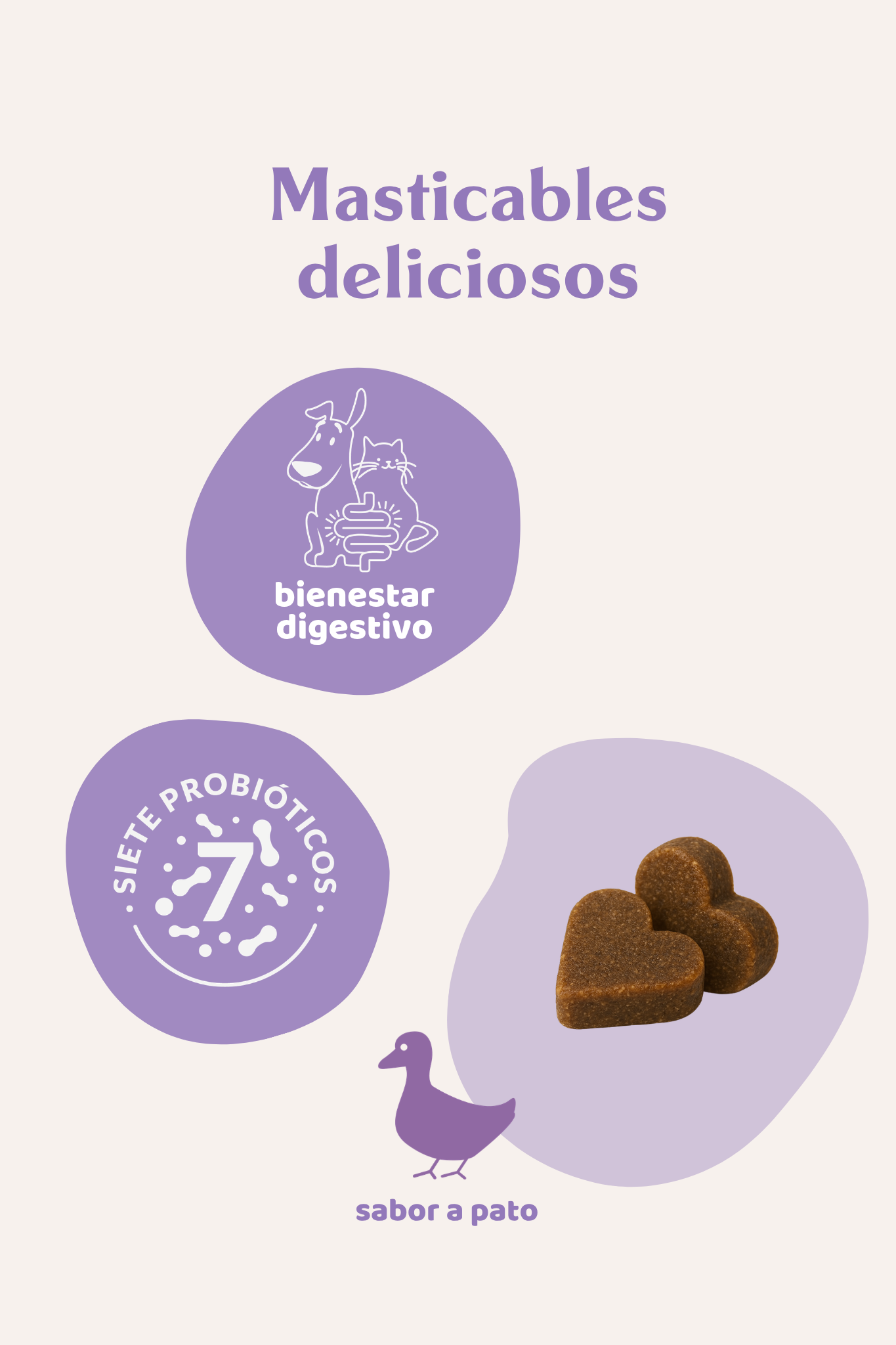 Suplemento digestivo perros y gatos