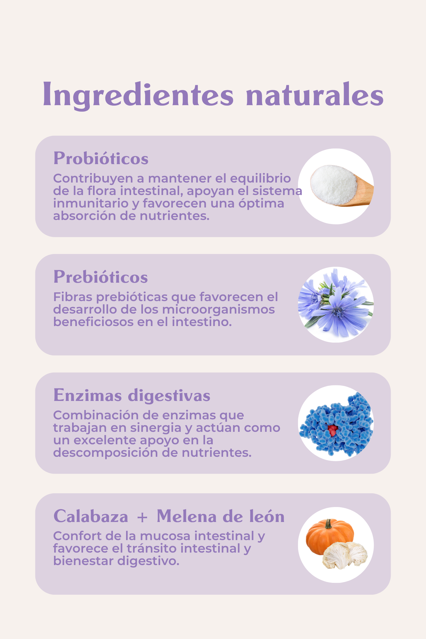 Suplemento digestivo perros y gatos