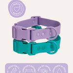 Collar Quick-Release