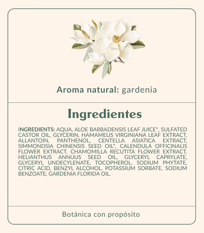 Ver todos los ingredientes
