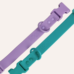 Collar Quick-Release