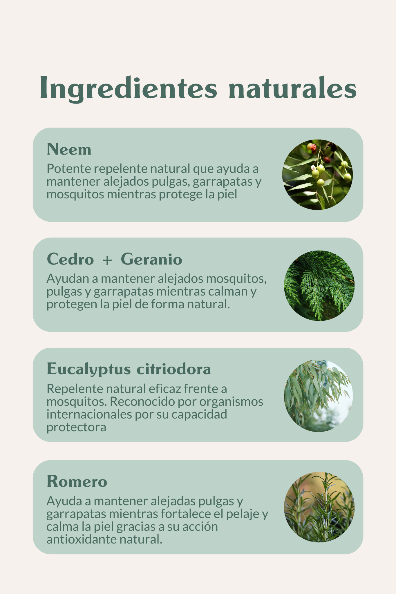Ingredientes que protegen de forma natural