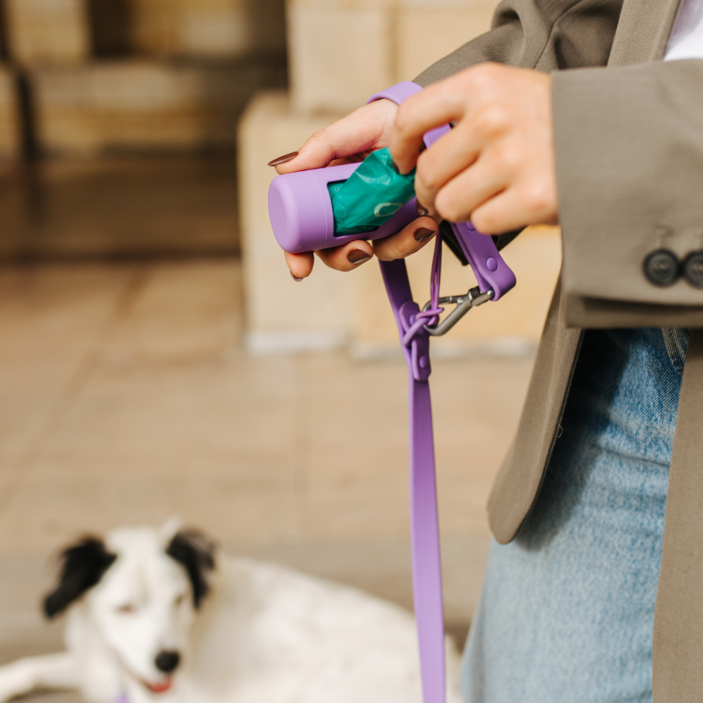 Biodegradable dog waste bags
