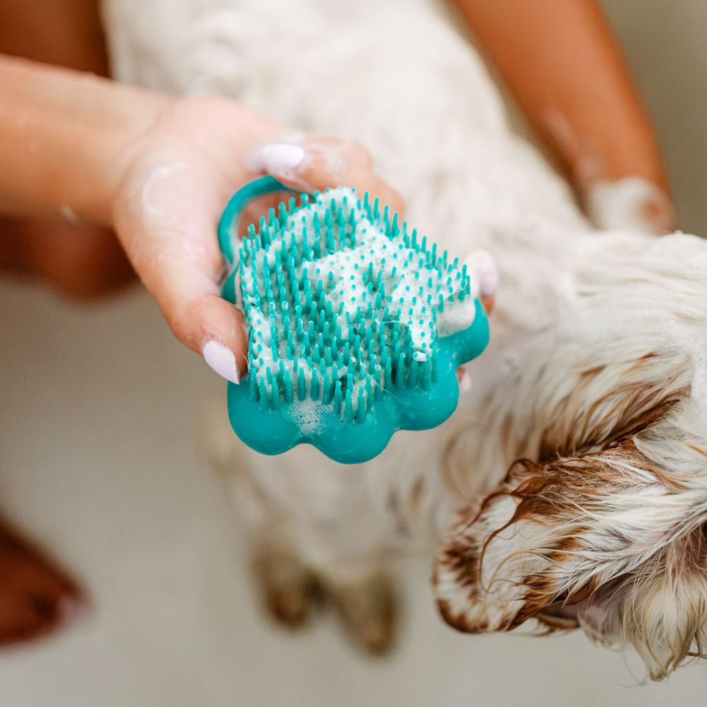 Toilet brush