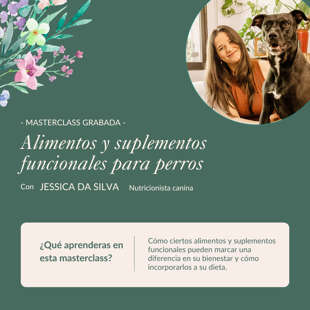Masterclass enregistrée | Aliments et compléments fonctionnels pour chiens